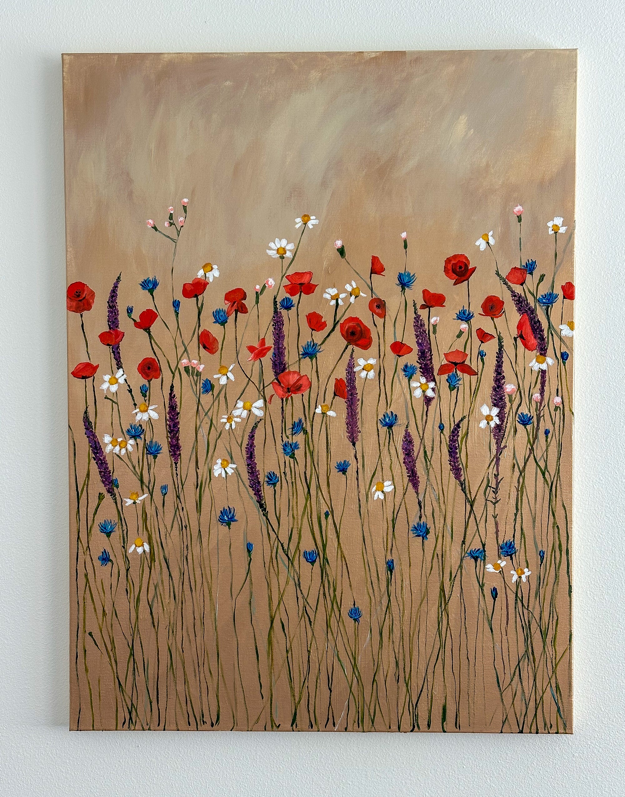 Field of Light