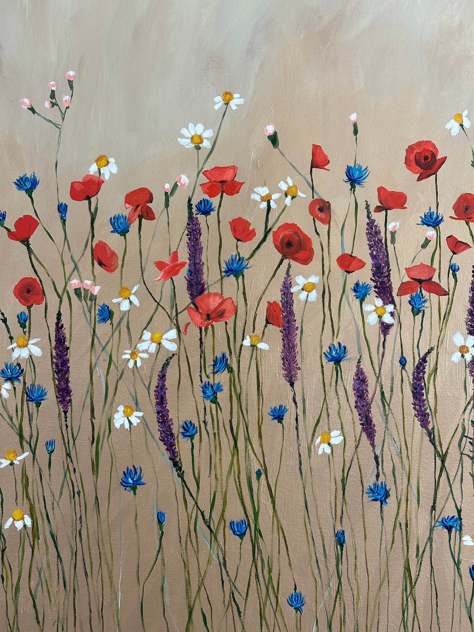 Field of Light